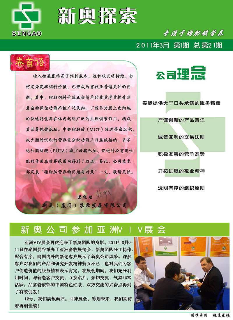 2025新澳精准正版免费资料，全面释义、专家解读与落实—警惕虚假宣传