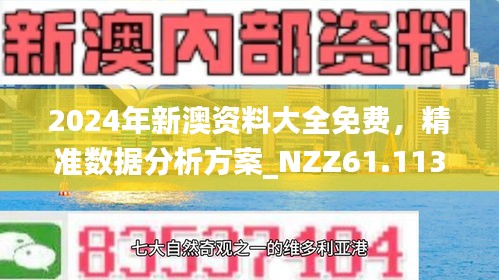 2025新澳精准正版免费资料，全面解析、专家解读与警惕虚假宣传